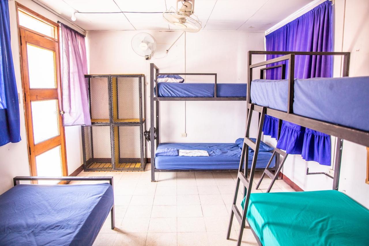 The Spot Hostel León Dış mekan fotoğraf